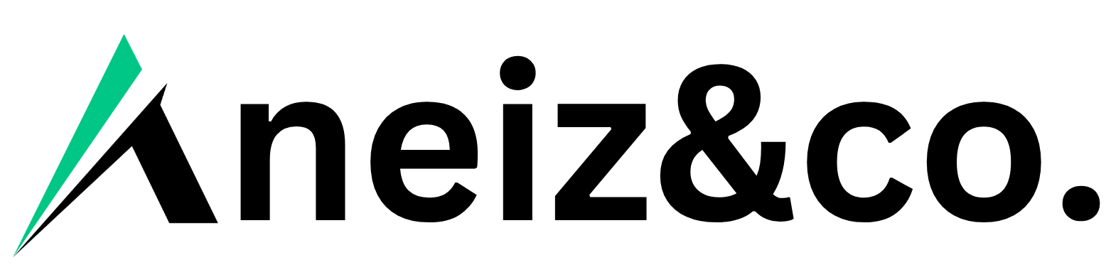 Aneizco-logo